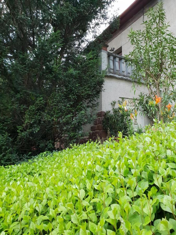 Kasza Villa Balatonfured Ngoại thất bức ảnh