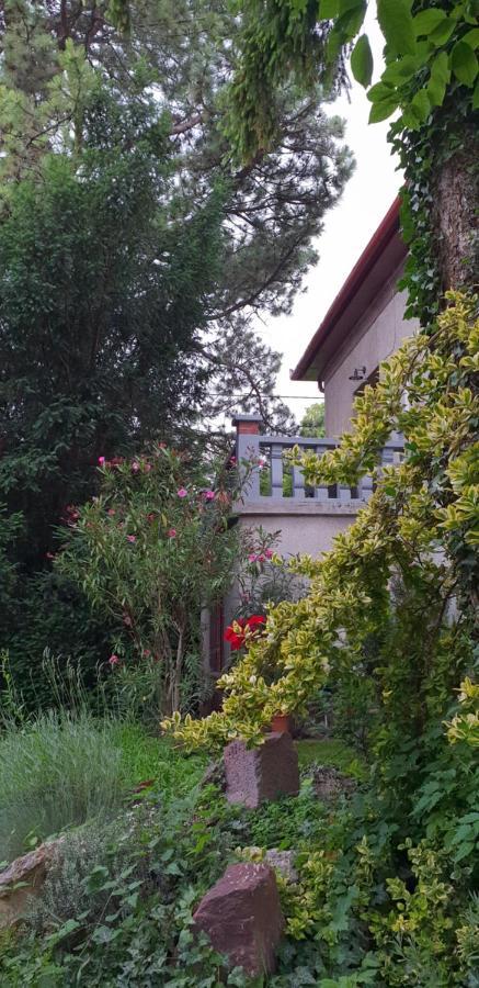 Kasza Villa Balatonfured Ngoại thất bức ảnh